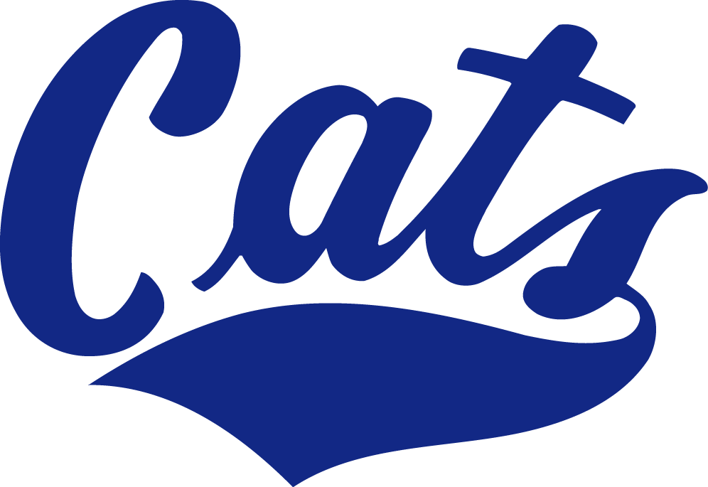 Montana State Bobcats 1982-2004 Wordmark Logo iron on paper